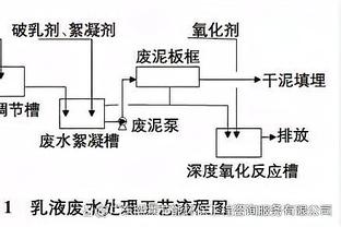 博格坎普：亨利的比赛找不到弱点，和他一起可把任何机会转为进球